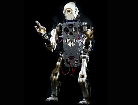 hermes roboter|humanoid biped robot.